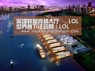 案例展示八