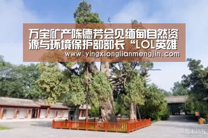 电竞直播