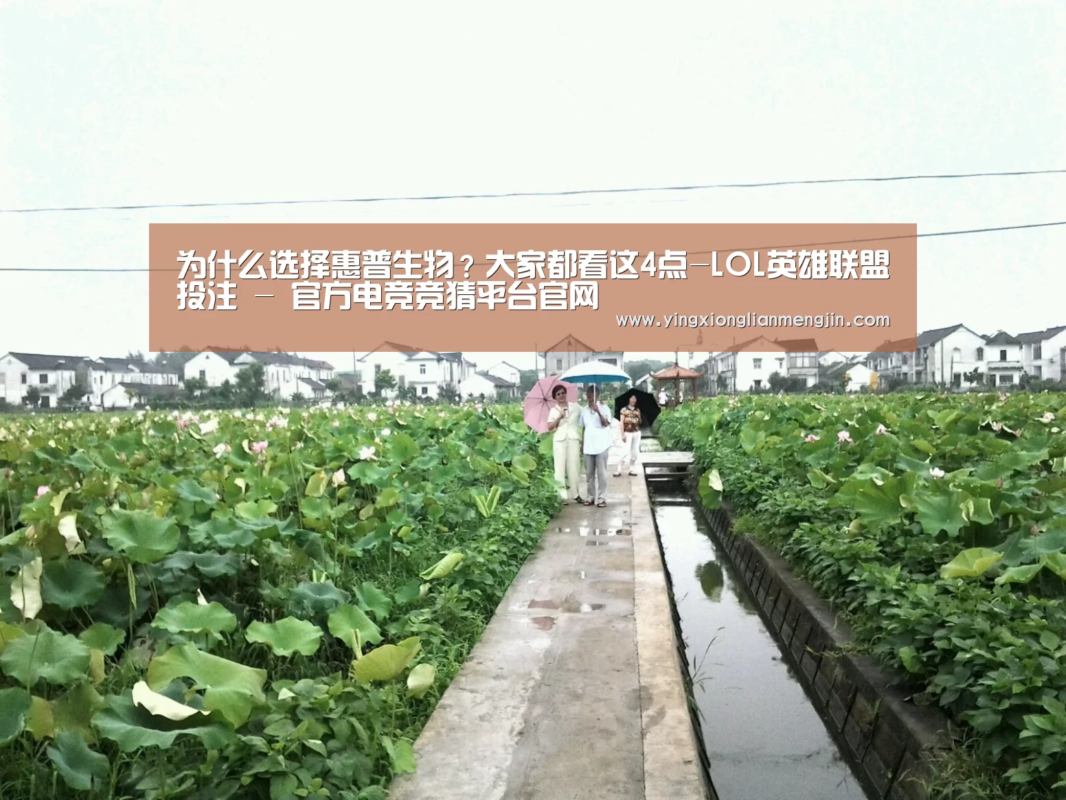 为什么选择惠普生物?大家都看这4点-LOL英雄联盟投注 - 官方电竞竞猜平台官网(图3) LOL英雄联盟投注 - 官方电竞竞猜平台