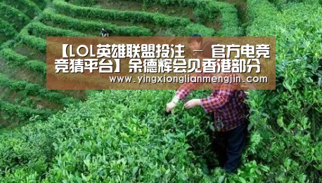 【LOL英雄联盟投注 - 官方电竞竞猜平台】余德辉会见香港部分金融机构主要负责人(图1) 电竞直播