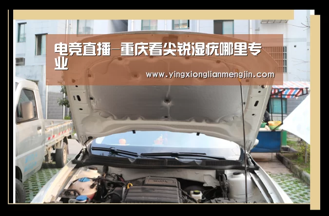 电竞直播-重庆看尖锐湿疣哪里专业(图1) LOL英雄联盟投注 - 官方电竞竞猜平台