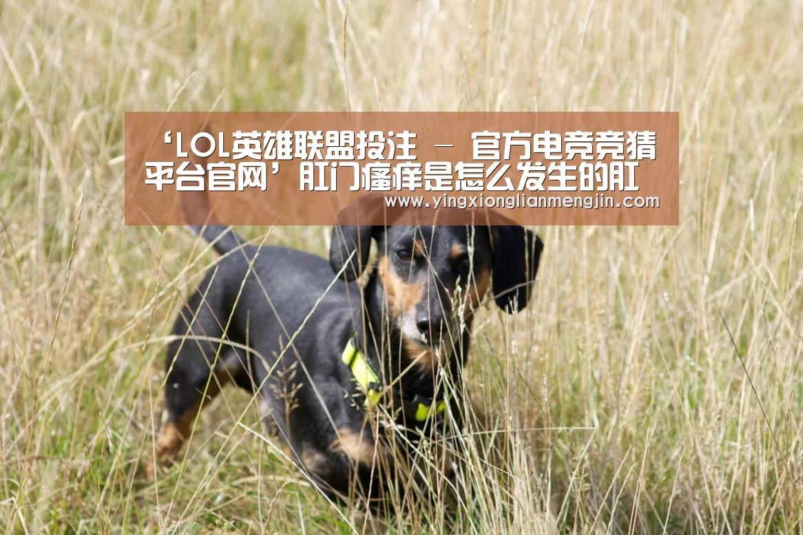 LOL英雄联盟投注 - 官方电竞竞猜平台